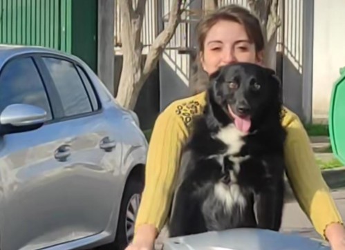 Una joven compartió el disfrute de su perra cuando la lleva en moto y fue viral: "La verdadera butaquera"
