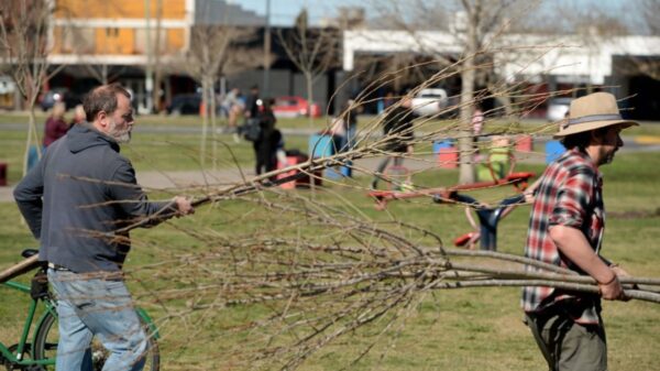 Realizan una jornada de forestación en Meridiano V por el Día del Árbol