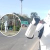 “Cosas que te pueden pasar si votas en La Plata”: apareció un personaje de Star Wars en las calles de la ciudad