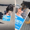 “Lo votó hasta un perro”: una platense filmó a un animal en plena jornada electoral con un cartel de Castagneto en su boca