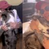 No veía a su perro desde hace un mes y la forma en que lo recibió se hizo viral: "Literalmente te abraza"