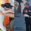 "Te ama demasiado entendela": adoptaron una perrita y su intensidad por sus dueños se hizo viral en las redes