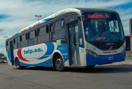 Un paro del TALP sorprendió a los platenses este jueves: no afecta al servicio de larga distancia