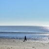 Advierten que puede faltar agua en la región por una fuerte bajante del Río de la Plata