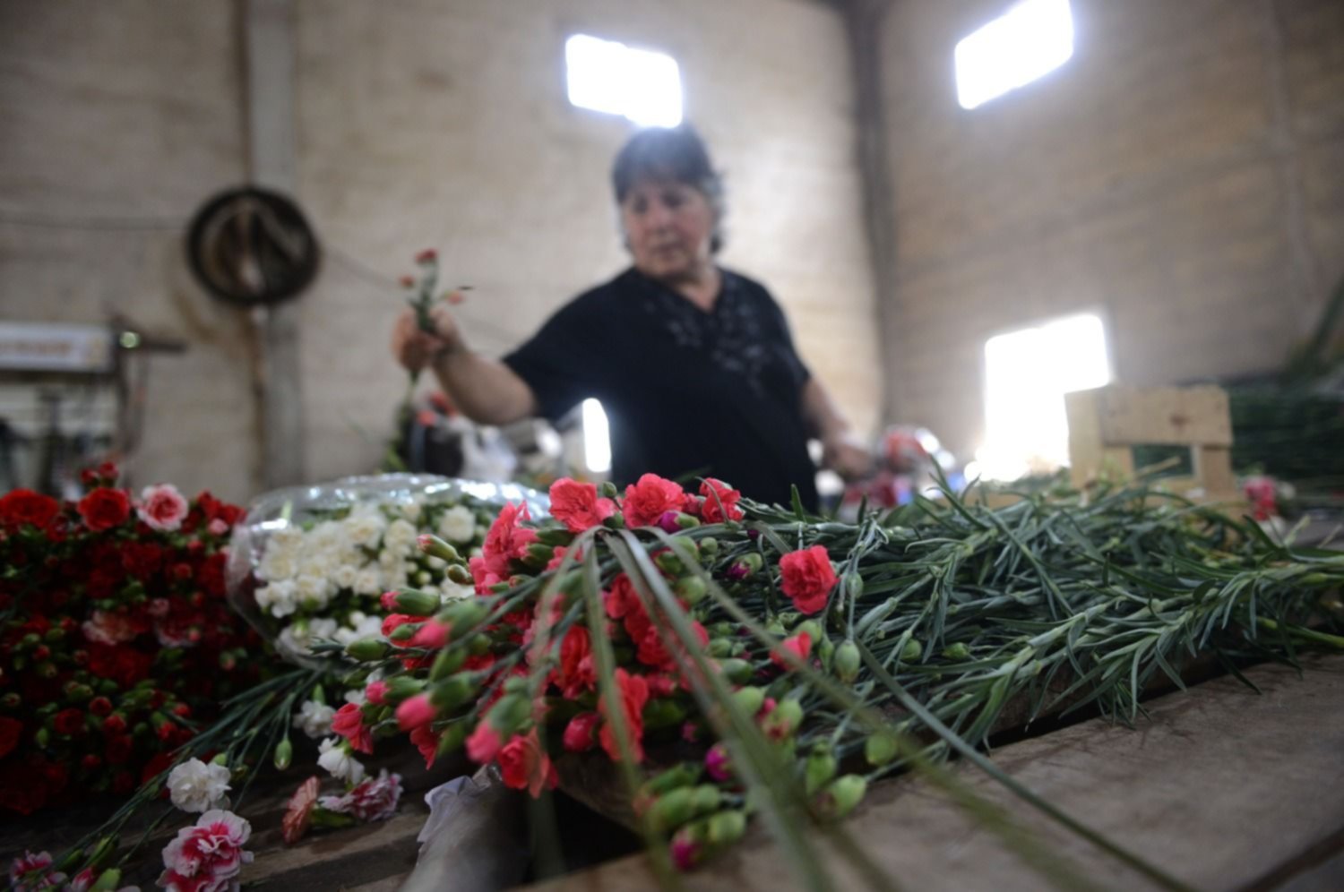 Buscan florista con experiencia para trabajar en La Plata