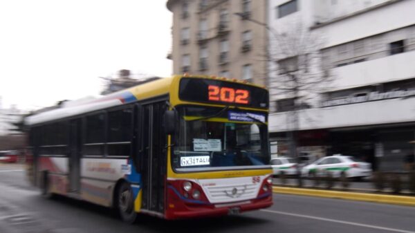 Una nena de 8 años jugaba en la plaza