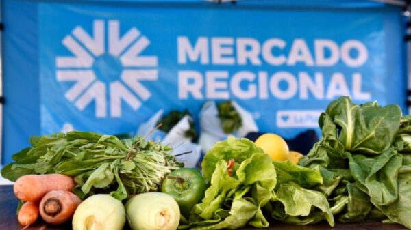 El Mercado Central renovó sus precios con ofertas y promociones para toda la semana