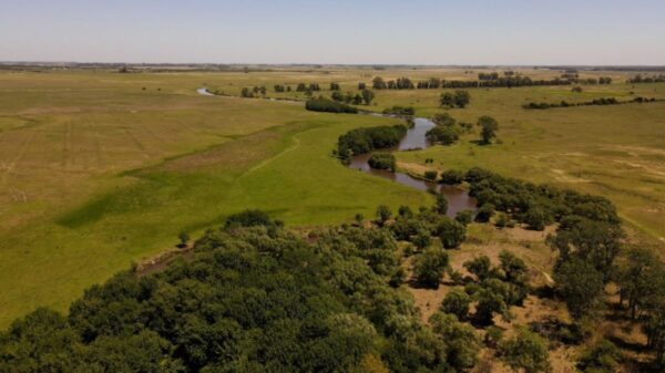 Vecinos de Ignacio Correas en alerta por un loteo en la cuenca del arroyo El Pescado