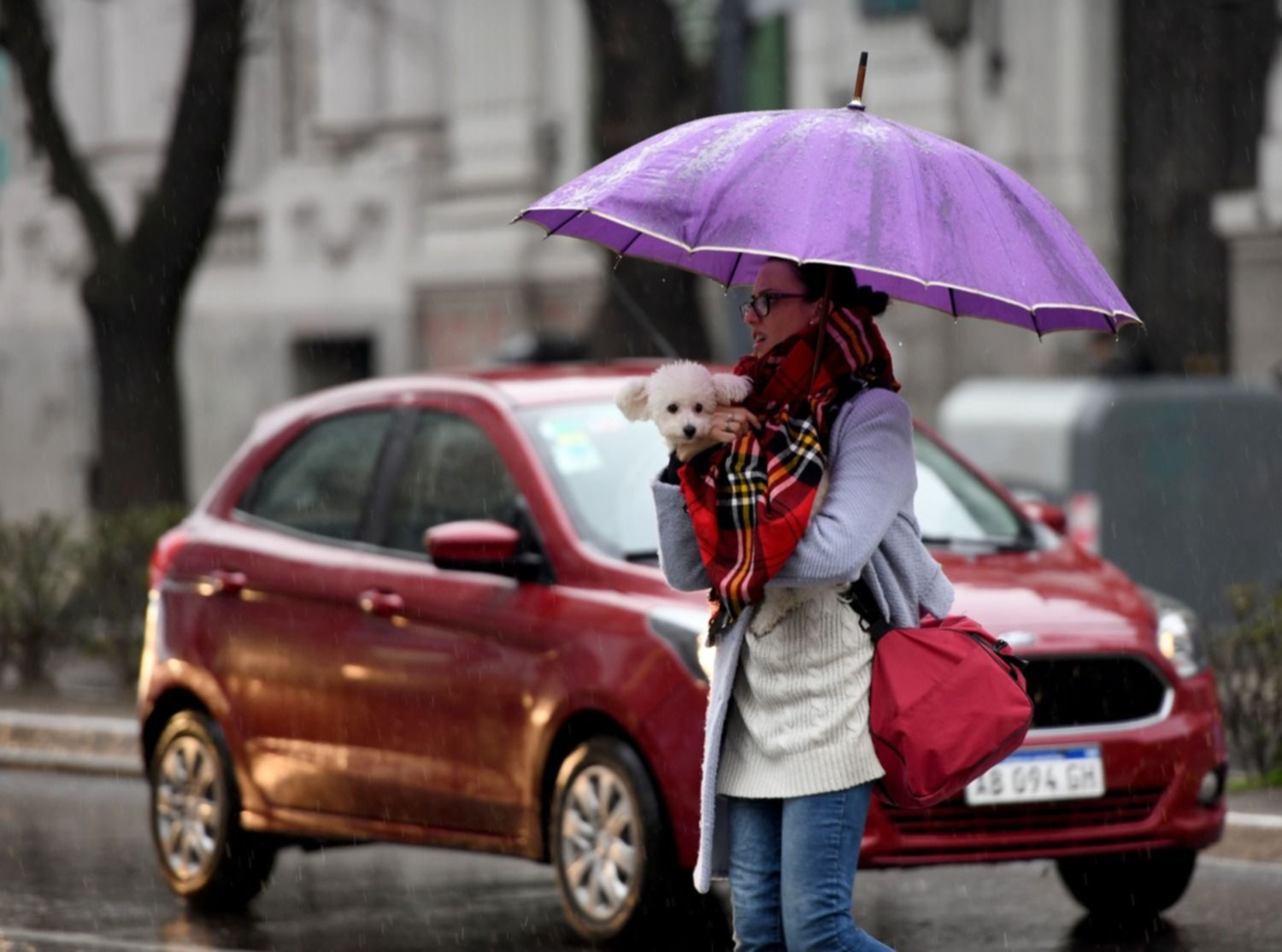 Anticipan más lluvias e intensas ráfagas de viento en La Plata