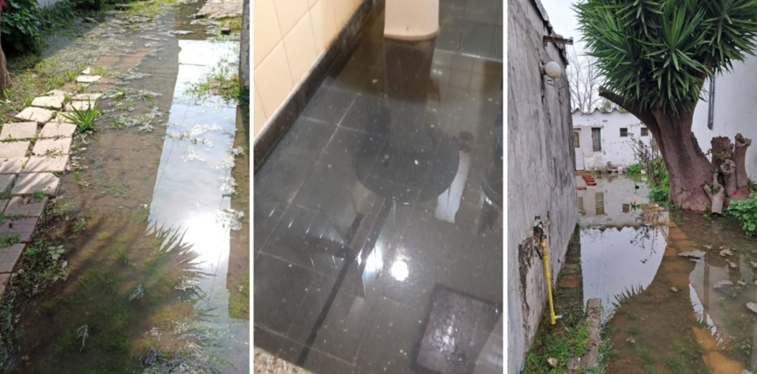 Cloacas desbordadas y baños inundados: el calvario de vecinos en una cuadra de La Plata