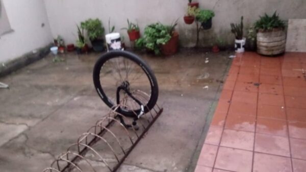 Saquearon el bicicletero de un edificio de La Plata y solo dejaron una rueda