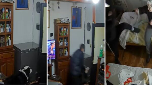 Balearon a un perro y golpearon a una abuela: videos del brutal robo de la "Tete Banda"