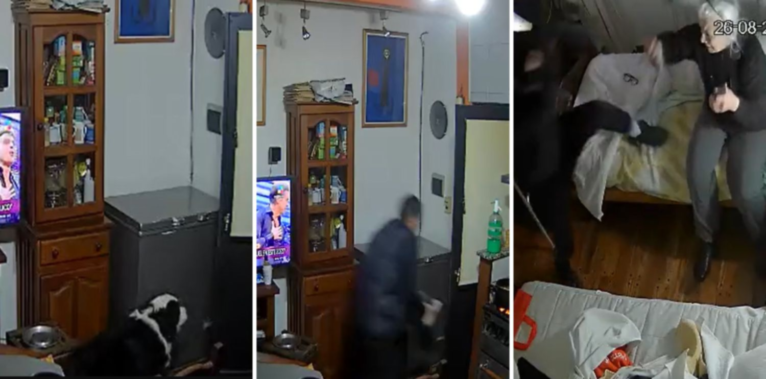 Balearon a un perro y golpearon a una abuela: videos del brutal robo de la "Tete Banda"