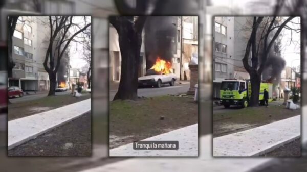 VIDEO: Fuego y susto en un barrio de La Plata por el incendio de un auto