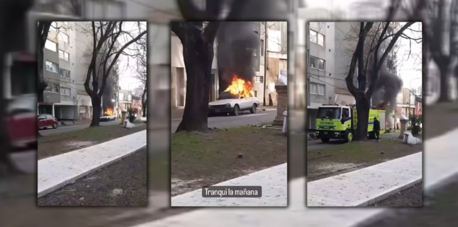 VIDEO: Fuego y susto en un barrio de La Plata por el incendio de un auto