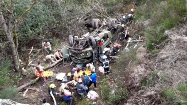 Murieron cuatro soldados tras el desbarranco de un camión del Ejército Argentino