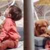 "Me dio un ataque de amor": filmó a su hijo junto a su cachorro y enterneció las redes sociales