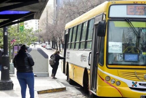 "Todo vuelve en la vida": su hija tuvo un descuido arriba del micro Este de La Plata y acudió a la "empatía" de la gente