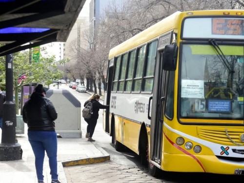 "Todo vuelve en la vida": su hija tuvo un descuido arriba del micro Este de La Plata y acudió a la "empatía" de la gente