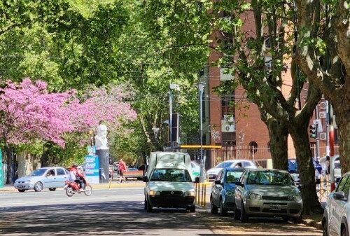 Sacó una foto de película en una esquina de la ciudad e hizo una comparación que solo entienden los platenses: "Como el..."