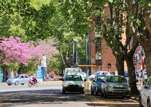 Sacó una foto de película en una esquina de la ciudad e hizo una comparación que solo entienden los platenses: "Como el..."