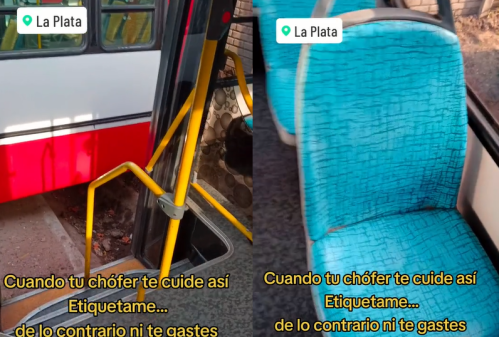 Un chofer de micros platense compartió el secreto para que los pasajeros viajen tranquilos y lo felicitaron: "Sos único"