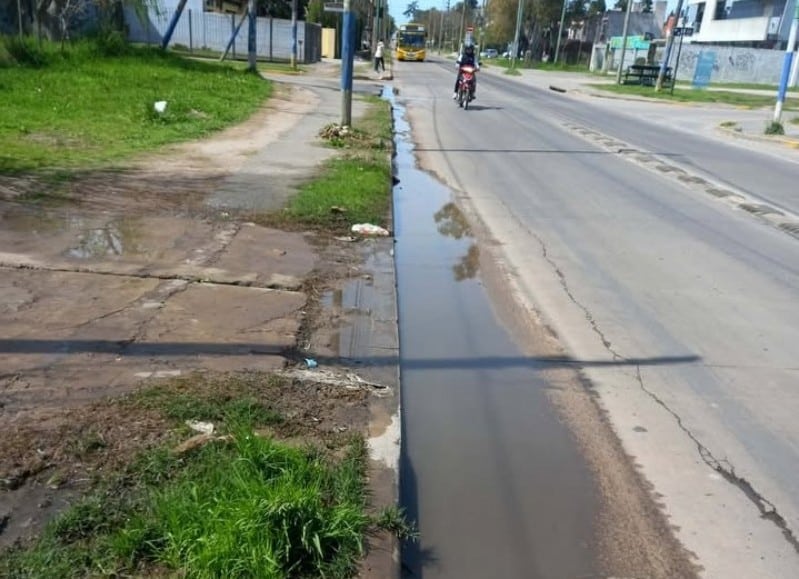 Los peces pasean por las pérdidas de agua de Villa Elvira – Radio La Plata