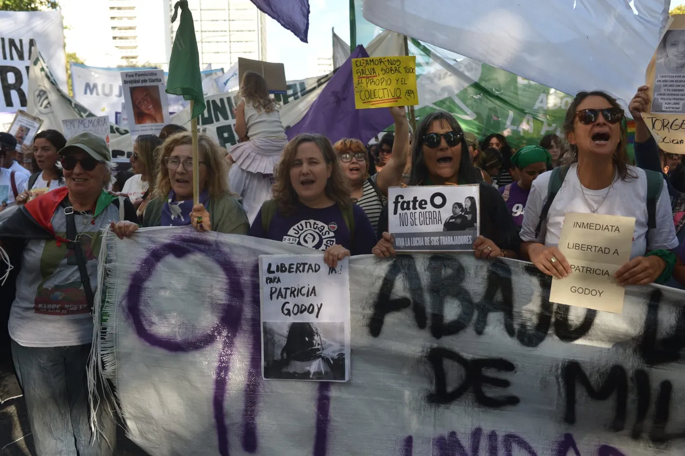 La Plata: marcha por el Día de la Mujer con reclamos contra los ...